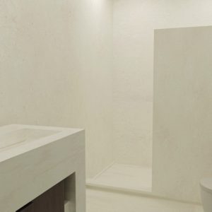 CASA V EN XPU HA (6)